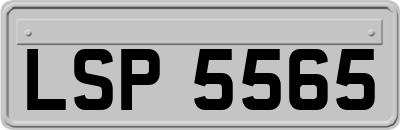 LSP5565