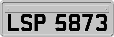 LSP5873