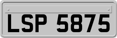 LSP5875