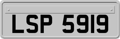 LSP5919
