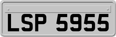 LSP5955
