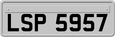 LSP5957