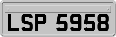LSP5958