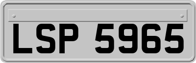 LSP5965