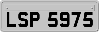 LSP5975