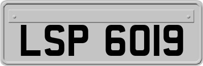 LSP6019