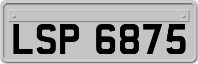 LSP6875
