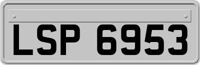 LSP6953