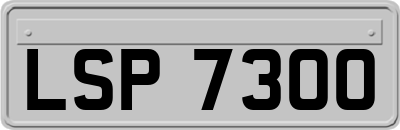 LSP7300
