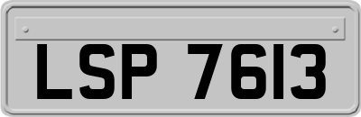 LSP7613