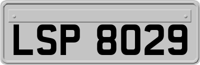 LSP8029