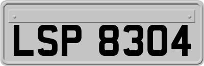 LSP8304