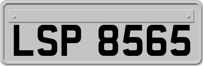 LSP8565