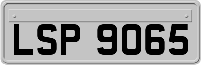 LSP9065