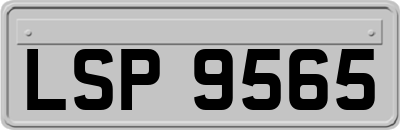 LSP9565