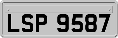LSP9587