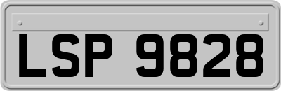 LSP9828