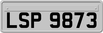 LSP9873