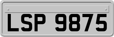 LSP9875