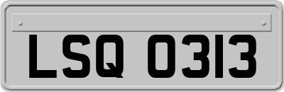 LSQ0313