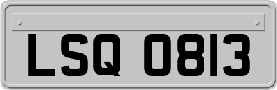 LSQ0813