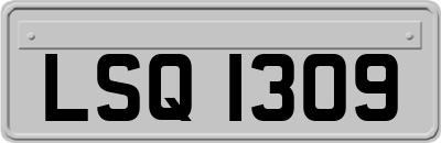 LSQ1309
