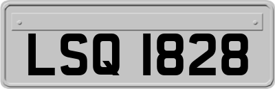LSQ1828