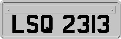 LSQ2313