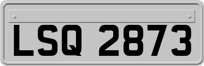 LSQ2873