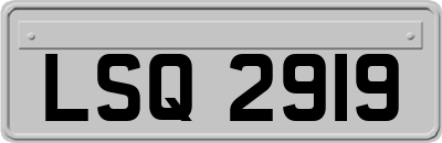 LSQ2919
