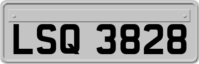 LSQ3828