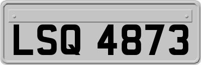 LSQ4873