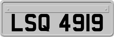 LSQ4919