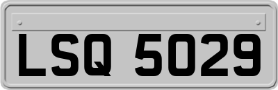LSQ5029