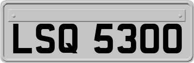 LSQ5300