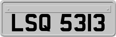 LSQ5313