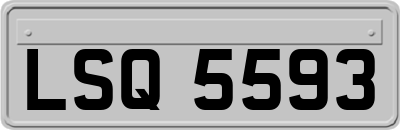 LSQ5593