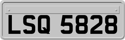 LSQ5828