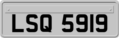 LSQ5919
