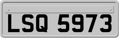 LSQ5973