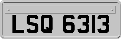 LSQ6313
