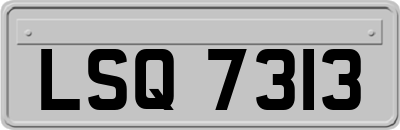 LSQ7313