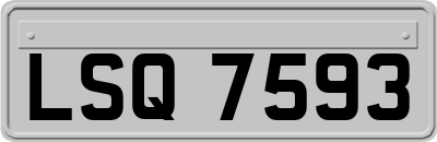 LSQ7593