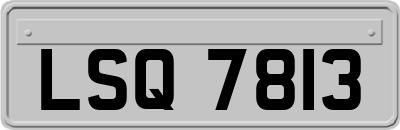 LSQ7813