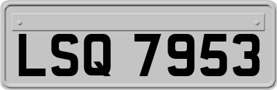 LSQ7953