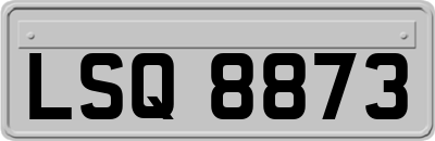 LSQ8873