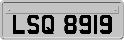 LSQ8919