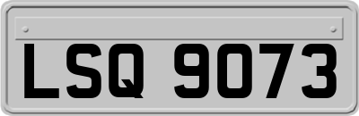 LSQ9073