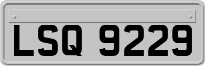 LSQ9229