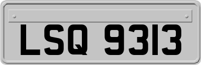 LSQ9313